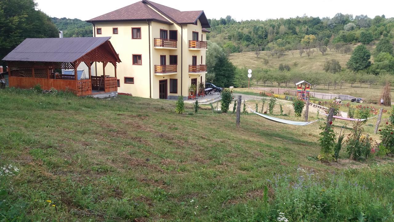 Pensiunea Lavinia Calvini Dış mekan fotoğraf